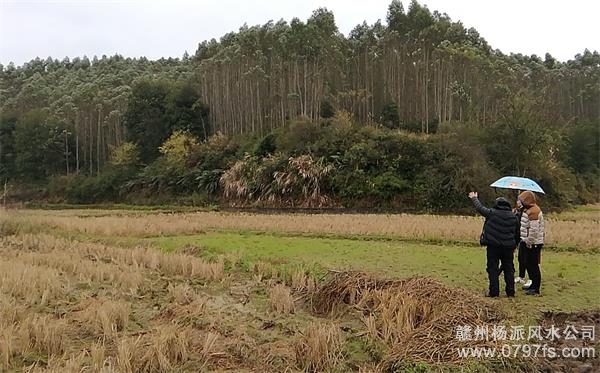 常州陈老师带着爱徒寻龙点穴